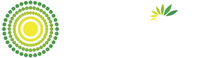 plunex logo